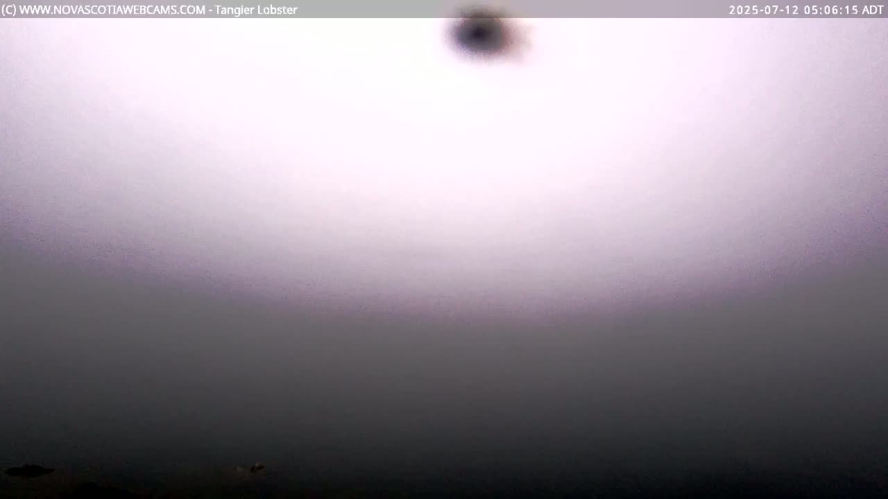 Tangier Coast, Hog Island  & Mason Cove Live Cam - Tangier, Halifax Regional Municipality, Nova Scotia, Canada