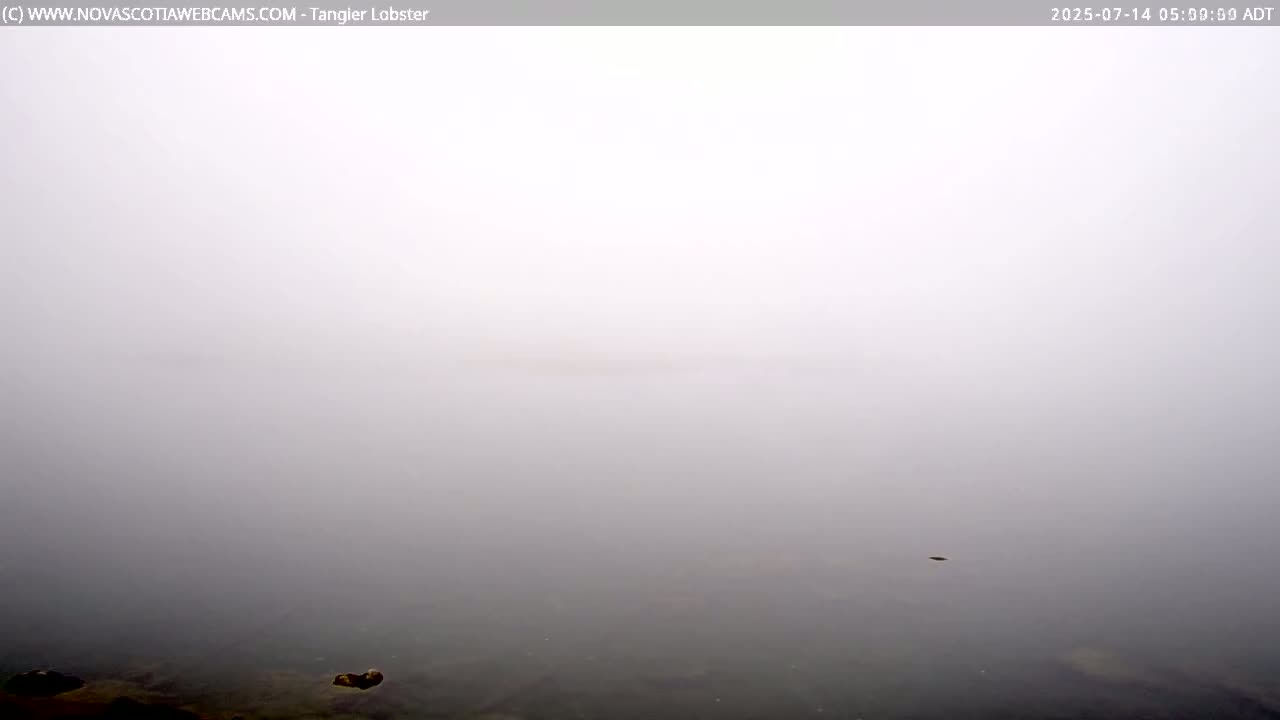 Tangier Coast, Hog Island  & Mason Cove Live Cam - Tangier, Halifax Regional Municipality, Nova Scotia, Canada