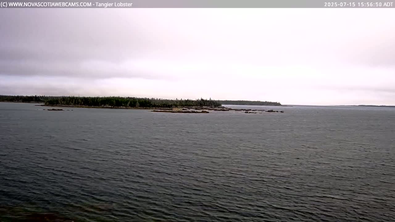 Tangier Coast, Hog Island  & Mason Cove Live Cam - Tangier, Halifax Regional Municipality, Nova Scotia, Canada