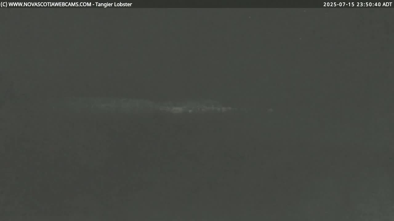 A low-light, dark gray image shows a faint horizontal line of lighter gray in the middle, possibly representing a horizon line under an overcast night sky.