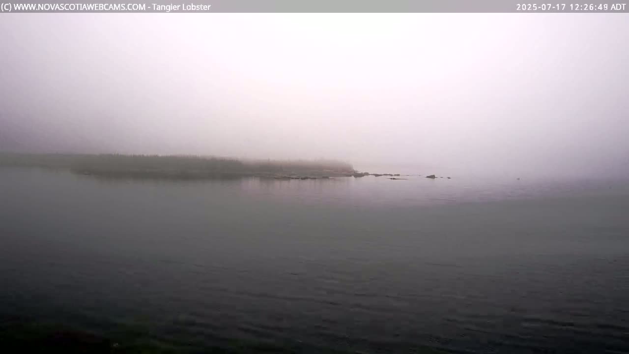 Tangier Coast, Hog Island  & Mason Cove Live Cam - Tangier, Halifax Regional Municipality, Nova Scotia, Canada