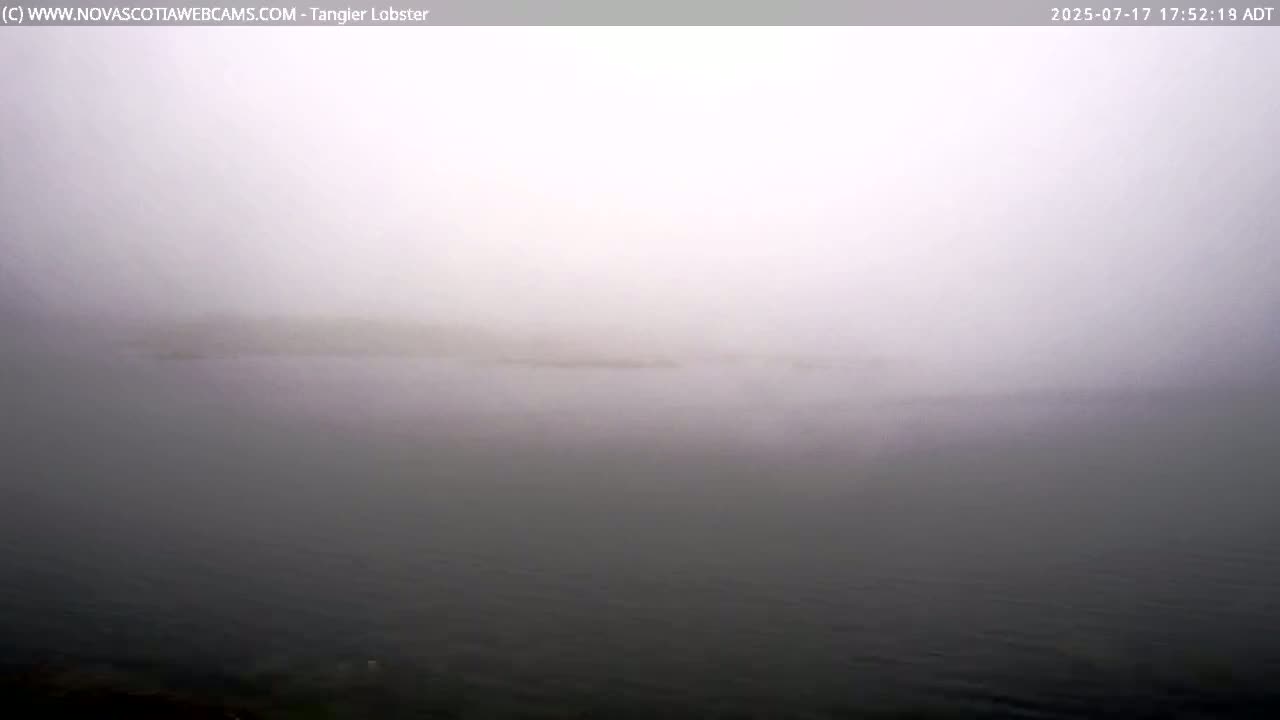 Tangier Coast, Hog Island  & Mason Cove Live Cam - Tangier, Halifax Regional Municipality, Nova Scotia, Canada