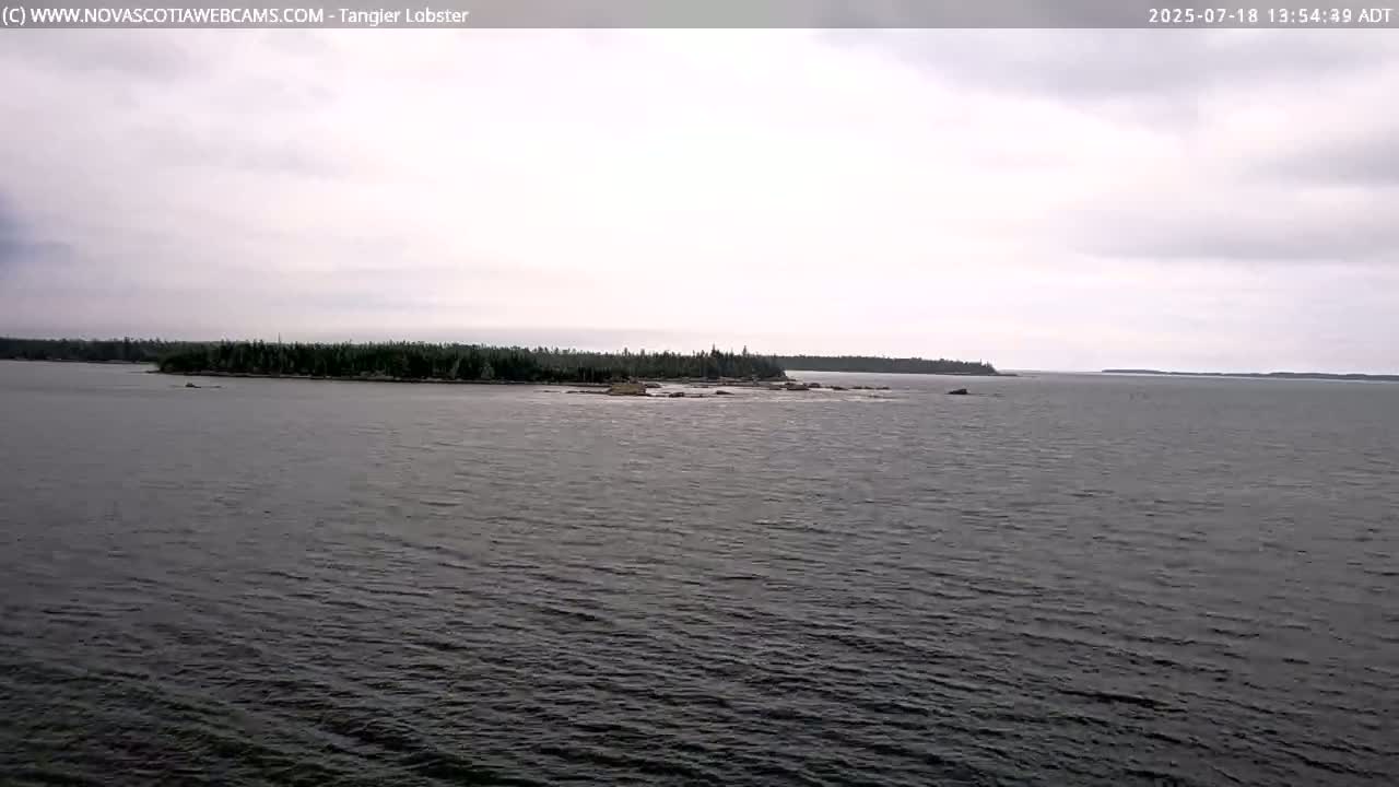 Tangier Coast, Hog Island  & Mason Cove Live Cam - Tangier, Halifax Regional Municipality, Nova Scotia, Canada