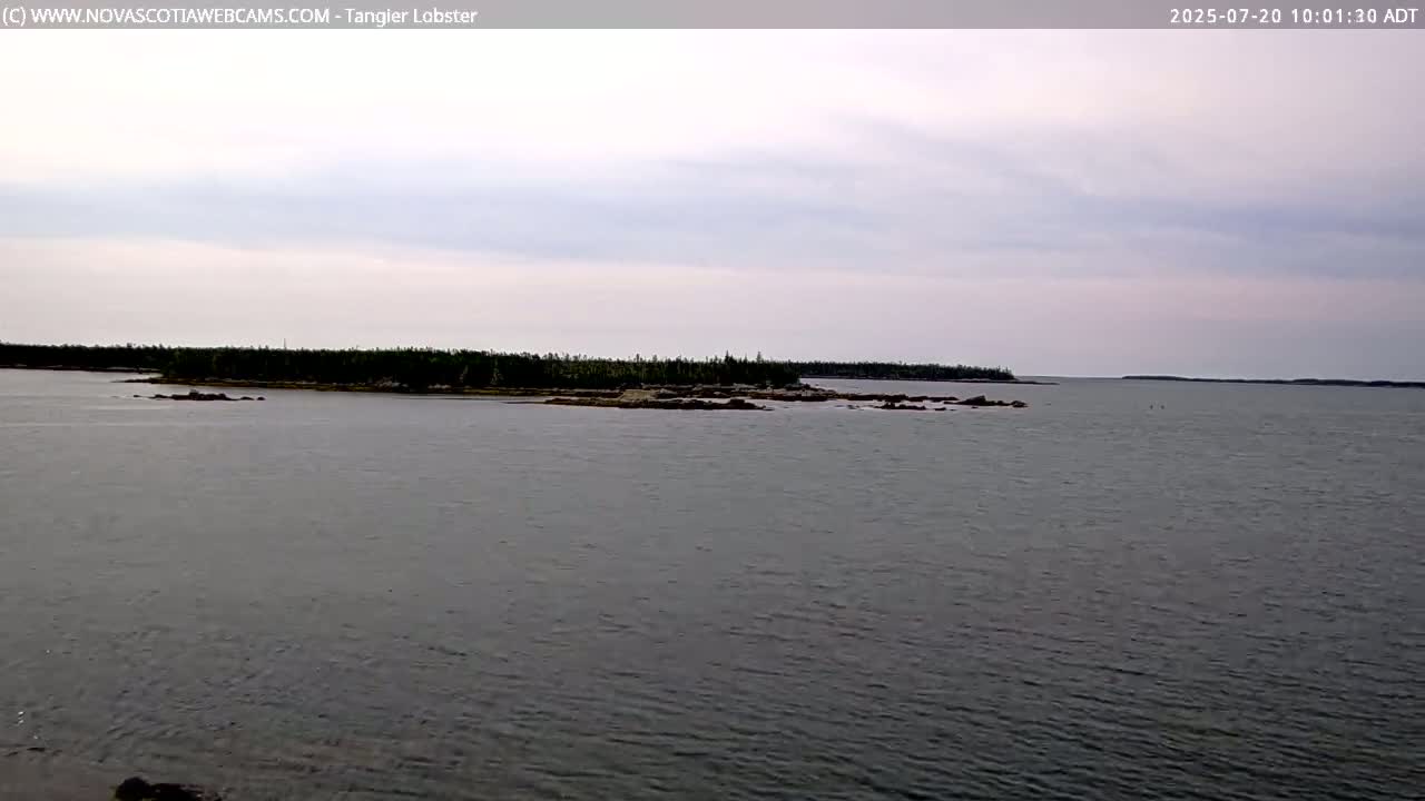Tangier Coast, Hog Island  & Mason Cove Live Cam - Tangier, Halifax Regional Municipality, Nova Scotia, Canada