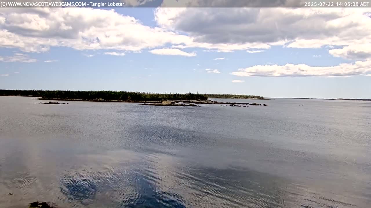 Tangier Coast, Hog Island  & Mason Cove Live Cam - Tangier, Halifax Regional Municipality, Nova Scotia, Canada