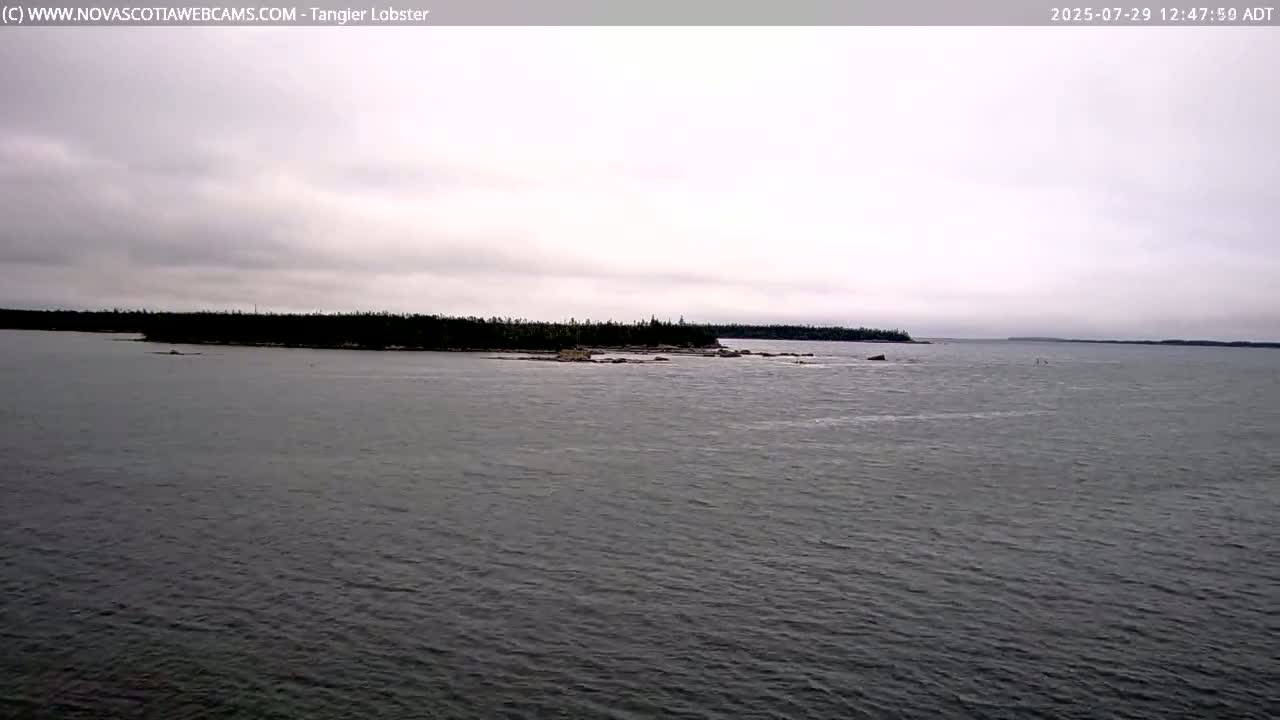 Tangier Coast, Hog Island  & Mason Cove Live Cam - Tangier, Halifax Regional Municipality, Nova Scotia, Canada