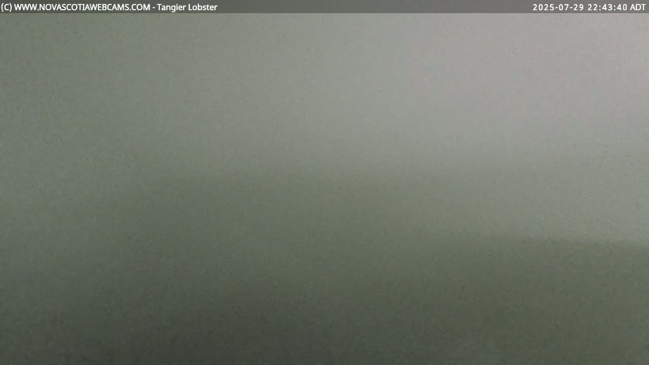 Tangier Coast, Hog Island  & Mason Cove Live Cam - Tangier, Halifax Regional Municipality, Nova Scotia, Canada
