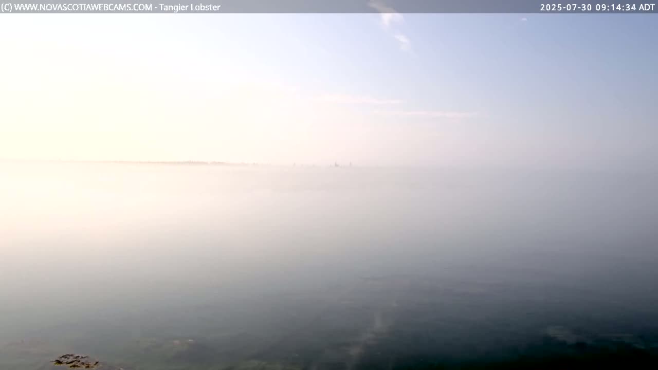 Tangier Coast, Hog Island  & Mason Cove Live Cam - Tangier, Halifax Regional Municipality, Nova Scotia, Canada