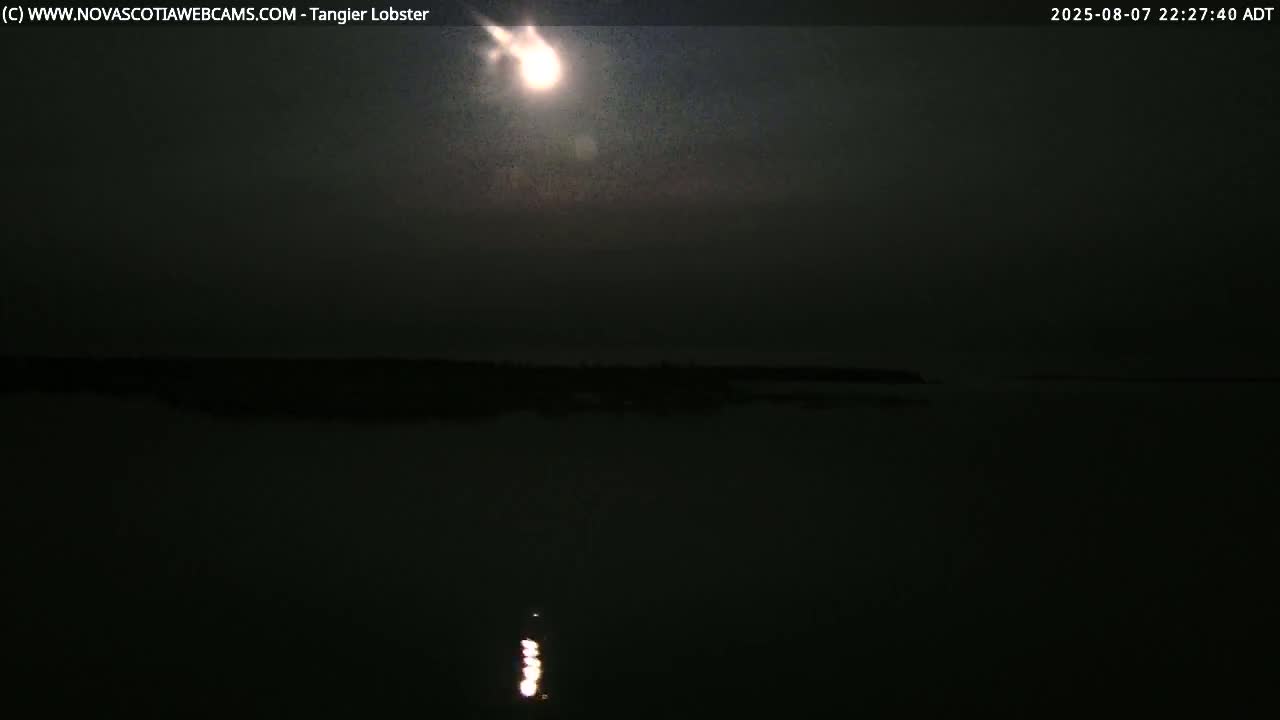 Tangier Coast, Hog Island  & Mason Cove Live Cam - Tangier, Halifax Regional Municipality, Nova Scotia, Canada