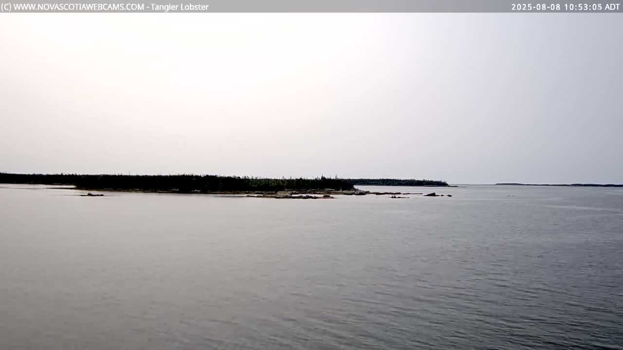Tangier Coast, Hog Island  & Mason Cove Live Cam - Tangier, Halifax Regional Municipality, Nova Scotia, Canada