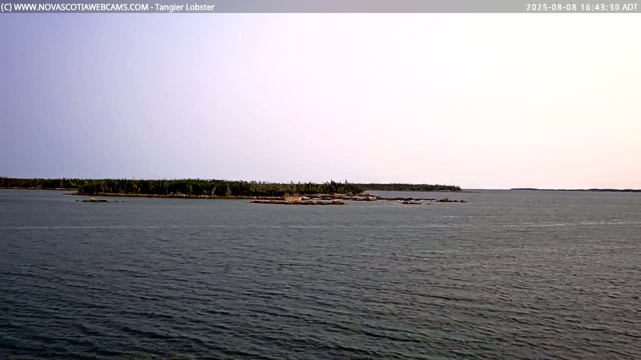 Tangier Coast, Hog Island  & Mason Cove Live Cam - Tangier, Halifax Regional Municipality, Nova Scotia, Canada