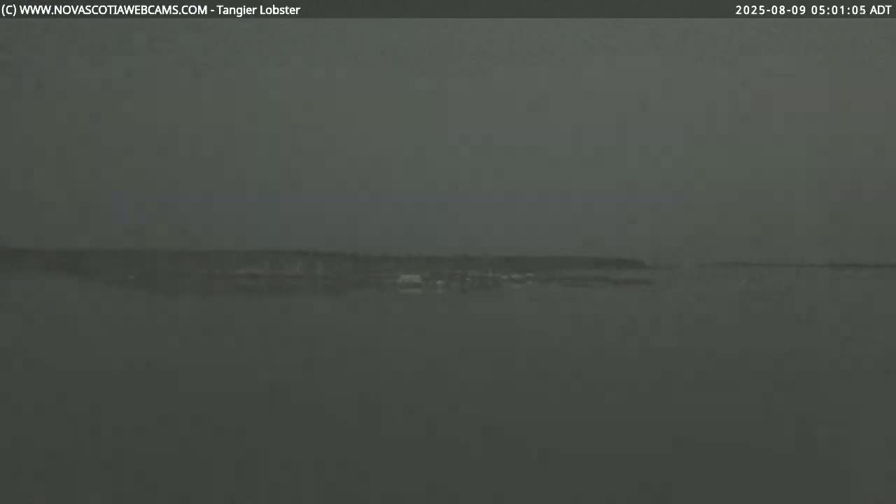 A hazy, overcast day reveals a distant shoreline across a body of calm water.