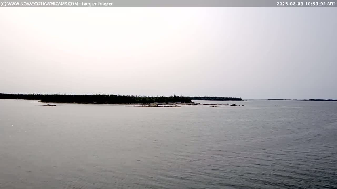 Tangier Coast, Hog Island  & Mason Cove Live Cam - Tangier, Halifax Regional Municipality, Nova Scotia, Canada
