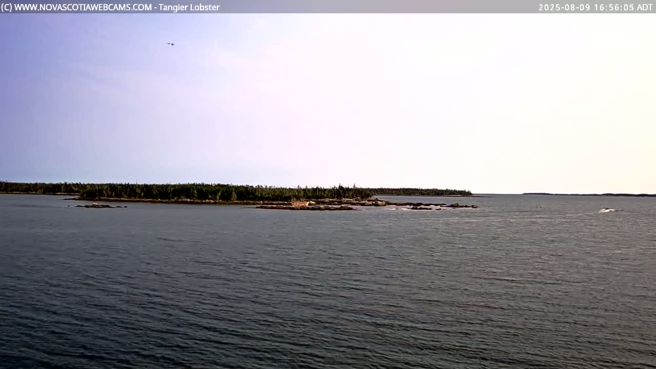 Tangier Coast, Hog Island  & Mason Cove Live Cam - Tangier, Halifax Regional Municipality, Nova Scotia, Canada