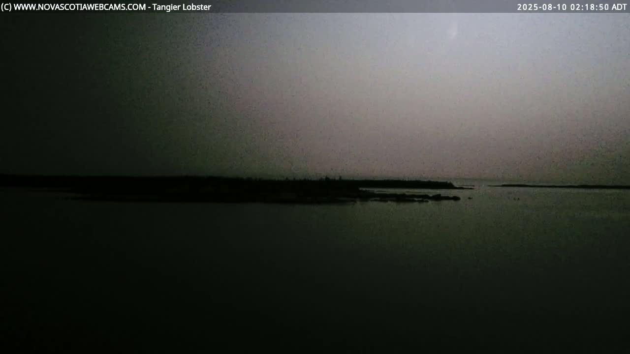 A dark, calm body of water stretches out before a low-lying, silhouetted shoreline under a dusky, pre-dawn sky.