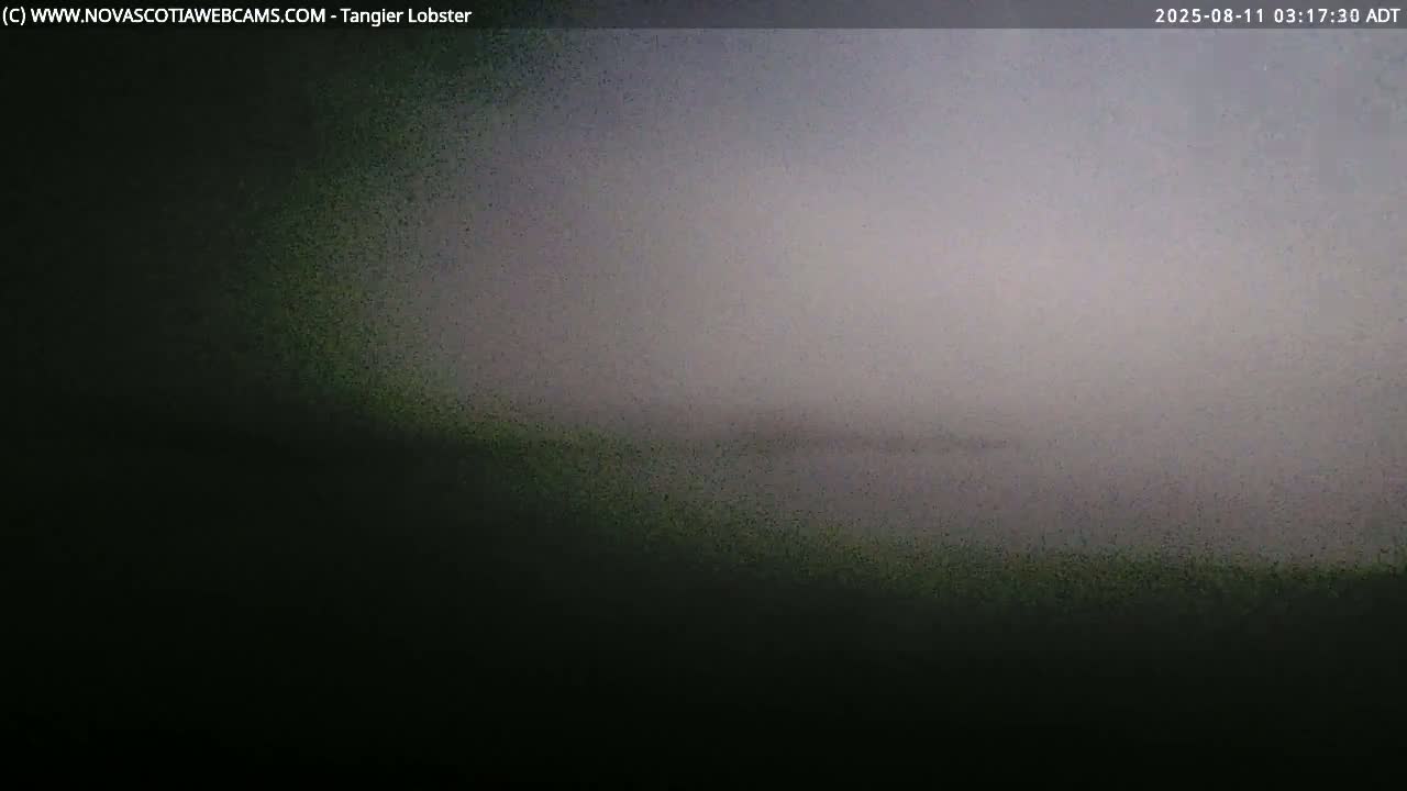 A hazy, dark scene shows a gradient of gray and dark green at the bottom, possibly depicting an overcast sky and land.