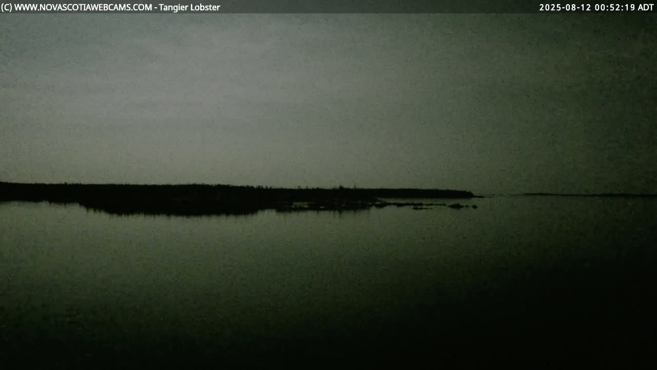 A dark, still body of water reflects a low, silhouetted shoreline under an overcast sky.
