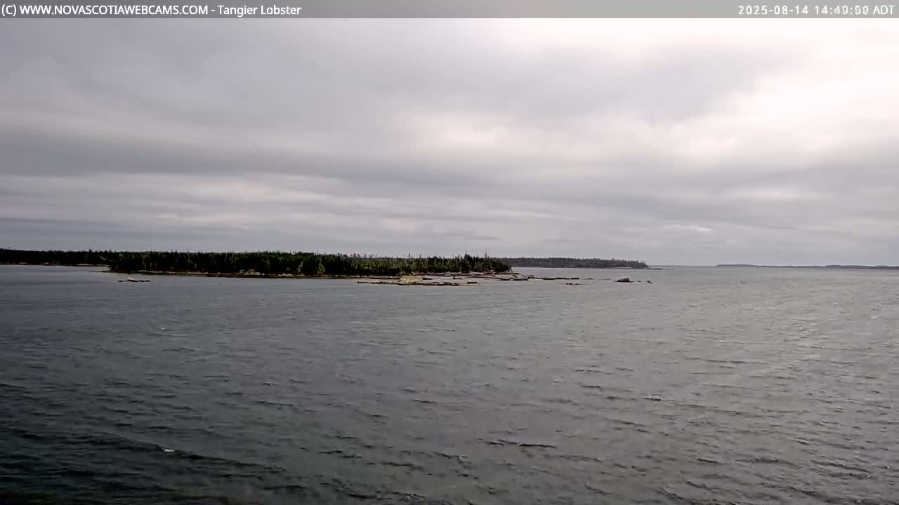 Tangier Coast, Hog Island  & Mason Cove Live Cam - Tangier, Halifax Regional Municipality, Nova Scotia, Canada