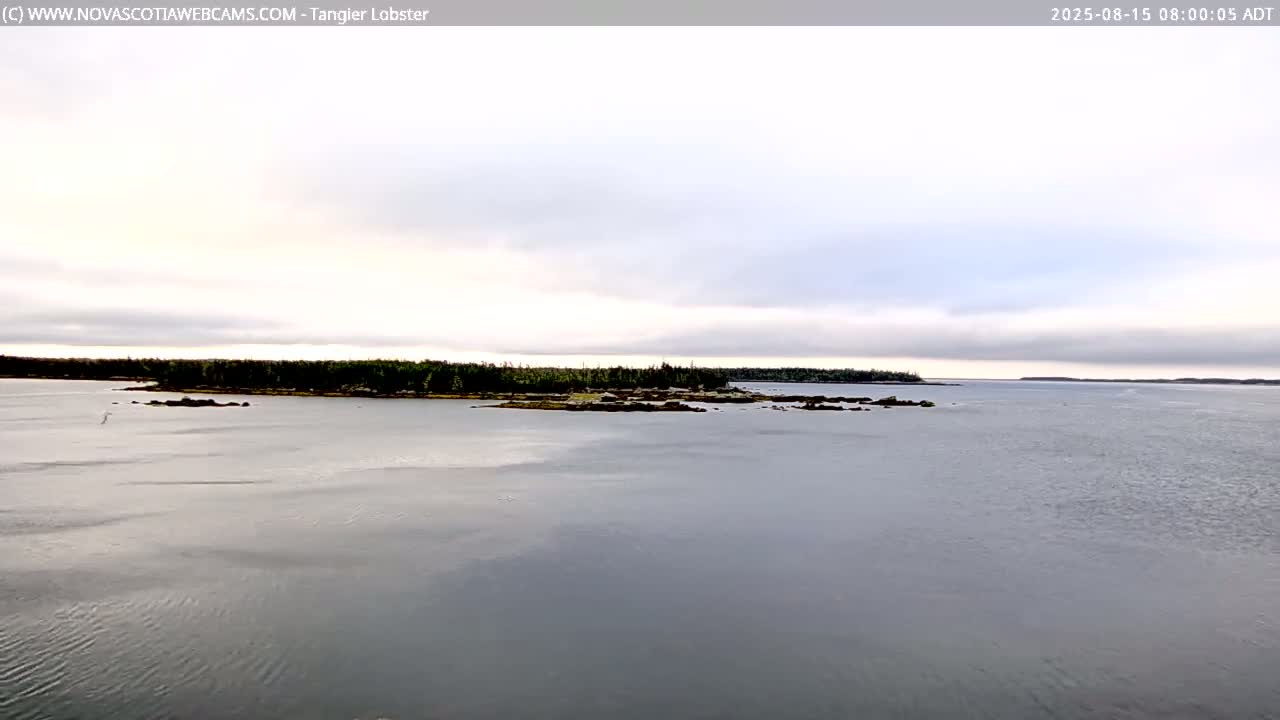 A dark, still body of water reflects a low, silhouetted shoreline under an overcast sky.