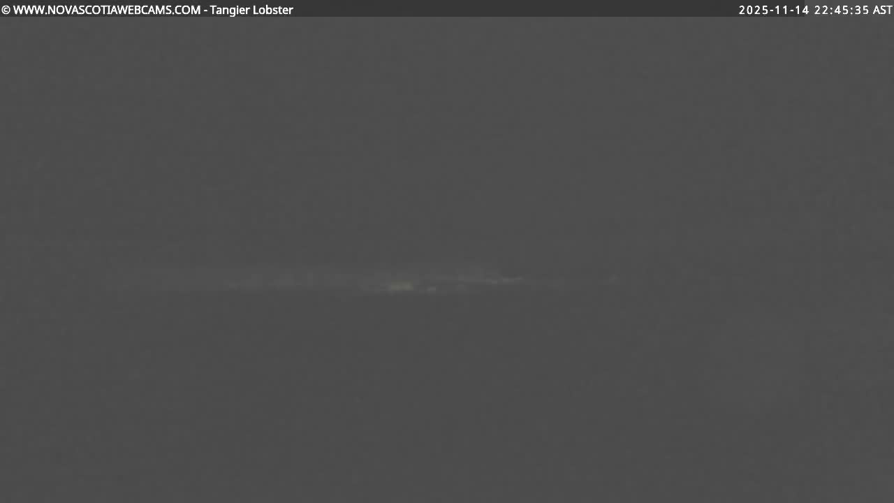 The image displays an extremely dark outdoor scene at night with very low visibility, revealing only a faint, indistinct horizontal band of lighter grey pixels across the middle.