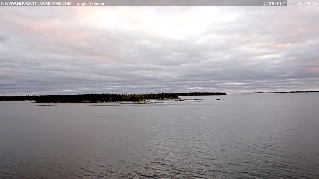 Tangier Coast, Hog Island  & Mason Cove Live Cam - Tangier, Halifax Regional Municipality, Nova Scotia, Canada
