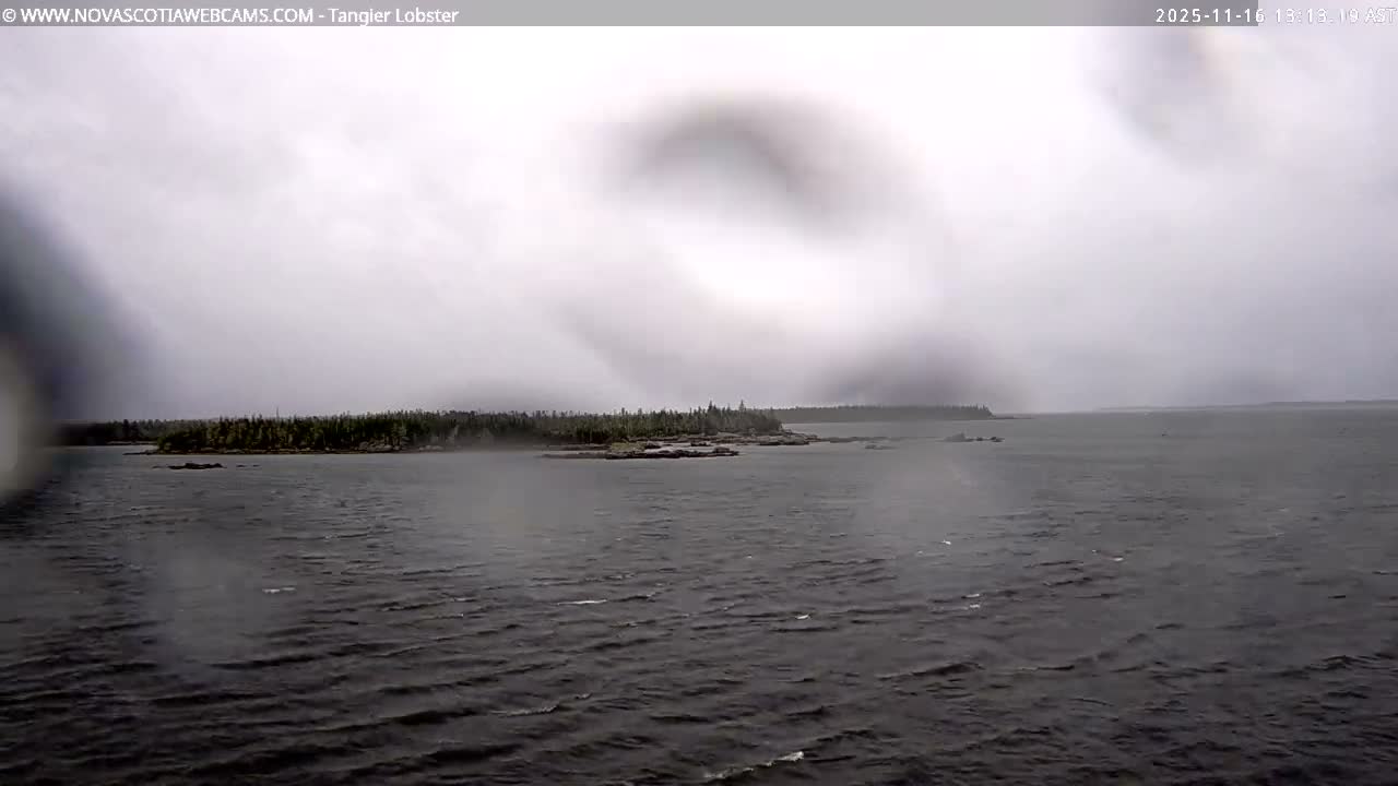Tangier Coast, Hog Island  & Mason Cove Live Cam - Tangier, Halifax Regional Municipality, Nova Scotia, Canada
