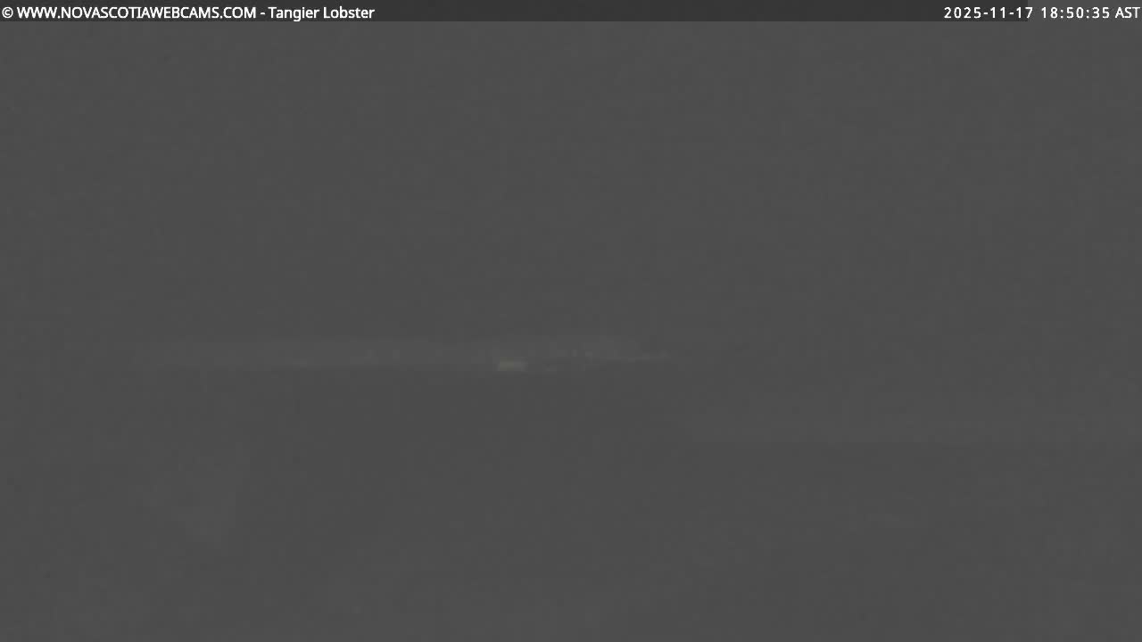 Tangier Coast, Hog Island  & Mason Cove Live Cam - Tangier, Halifax Regional Municipality, Nova Scotia, Canada