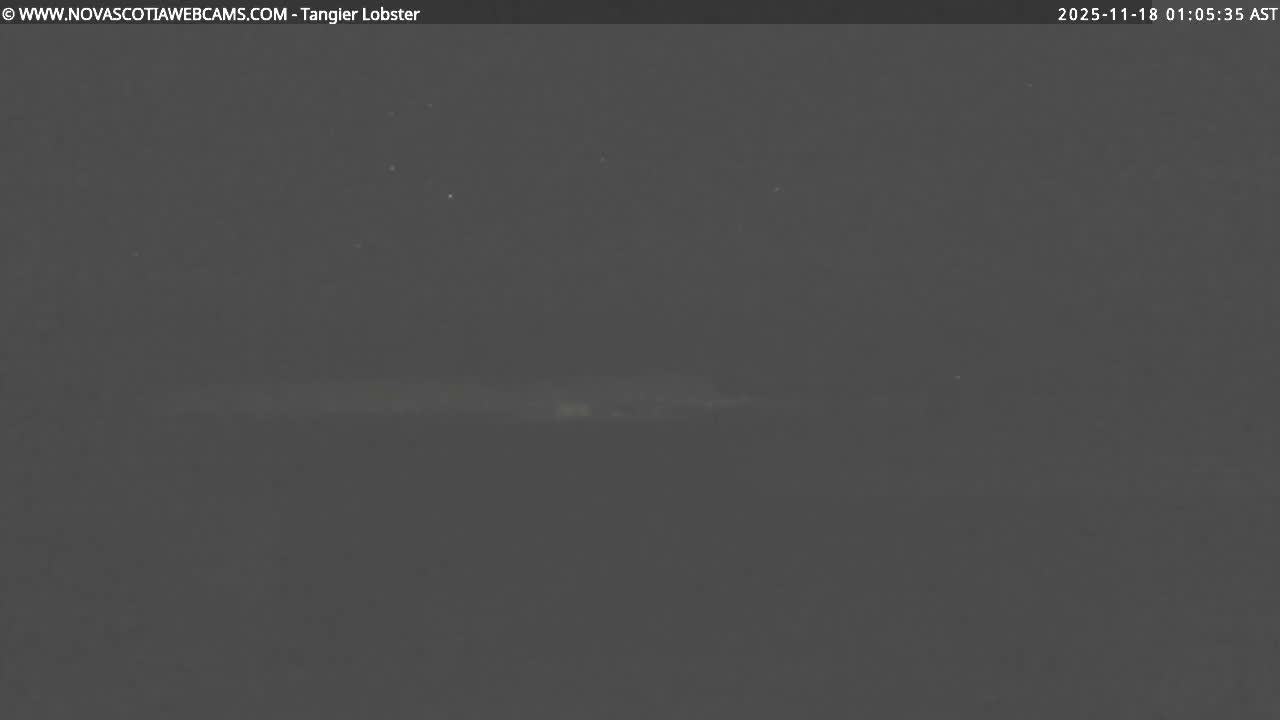 It is a clear, dark night with a few faint lights visible in the distance along the horizon.