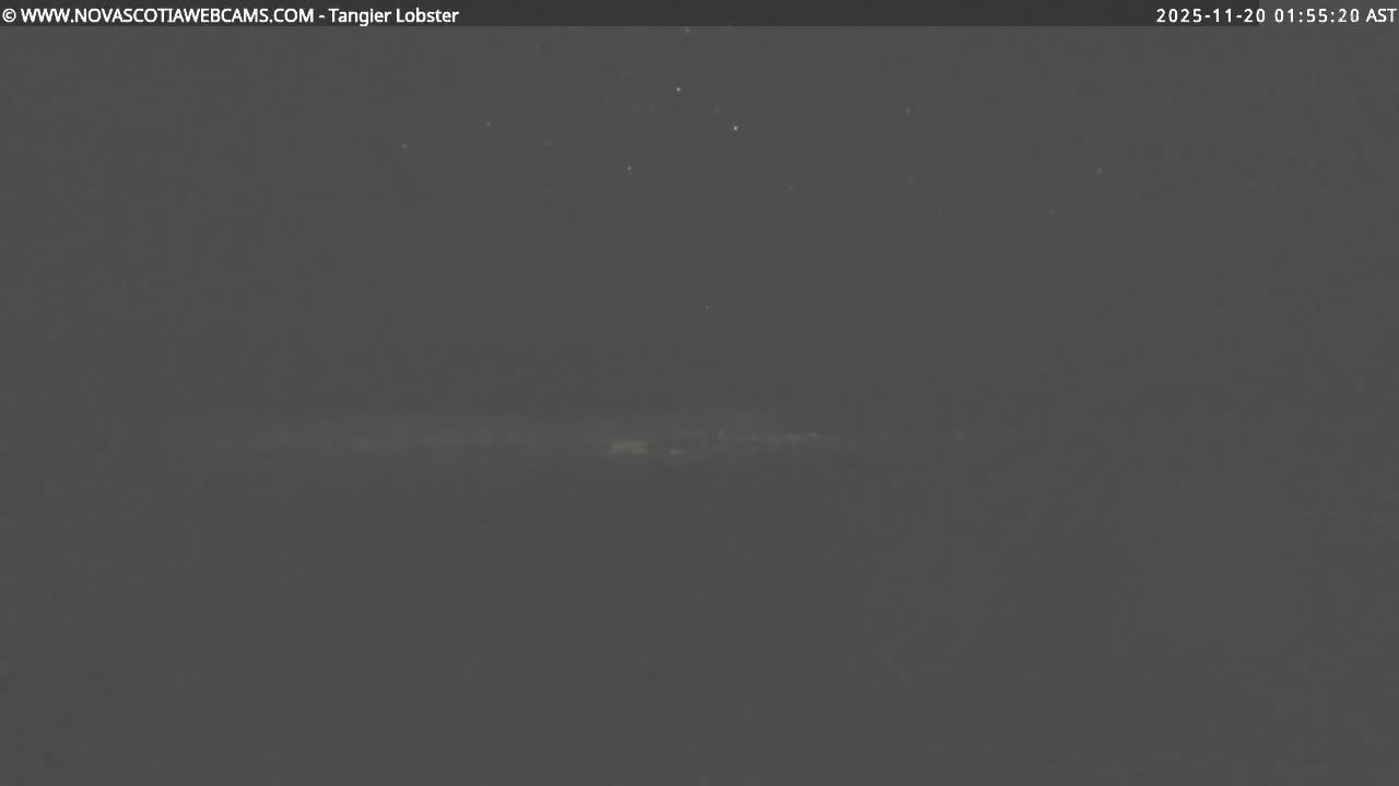 A very dark night scene reveals a faint horizontal line of distant light or land, with a few subtle stars visible in the slightly hazy or mostly clear sky.