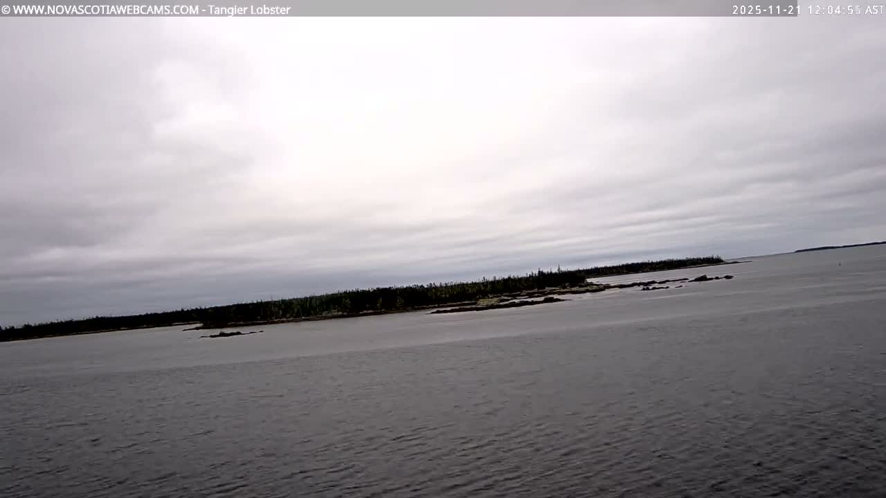 Tangier Coast, Hog Island  & Mason Cove Live Cam - Tangier, Halifax Regional Municipality, Nova Scotia, Canada