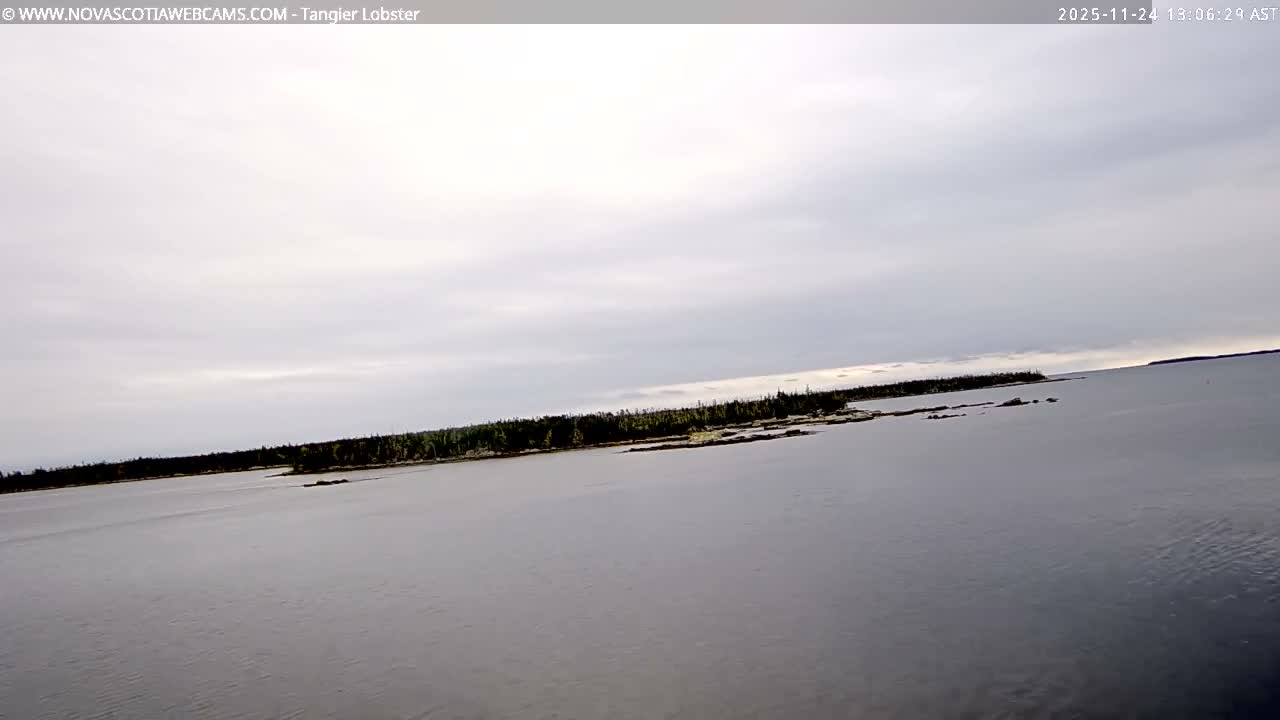 Tangier Coast, Hog Island  & Mason Cove Live Cam - Tangier, Halifax Regional Municipality, Nova Scotia, Canada