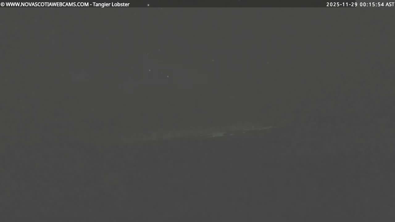 A dark, overcast night reveals a faint horizontal glow along the distant horizon, with only a few indistinct pinpricks of light visible in the sky.