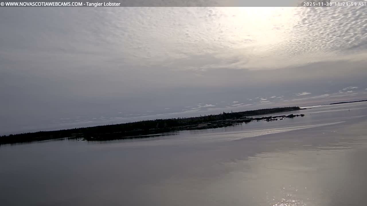 Tangier Coast, Hog Island  & Mason Cove Live Cam - Tangier, Halifax Regional Municipality, Nova Scotia, Canada