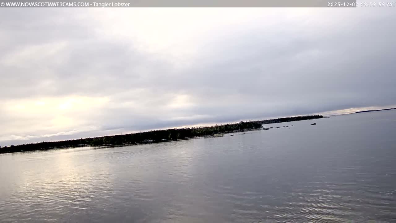 Tangier Coast, Hog Island  & Mason Cove Live Cam - Tangier, Halifax Regional Municipality, Nova Scotia, Canada