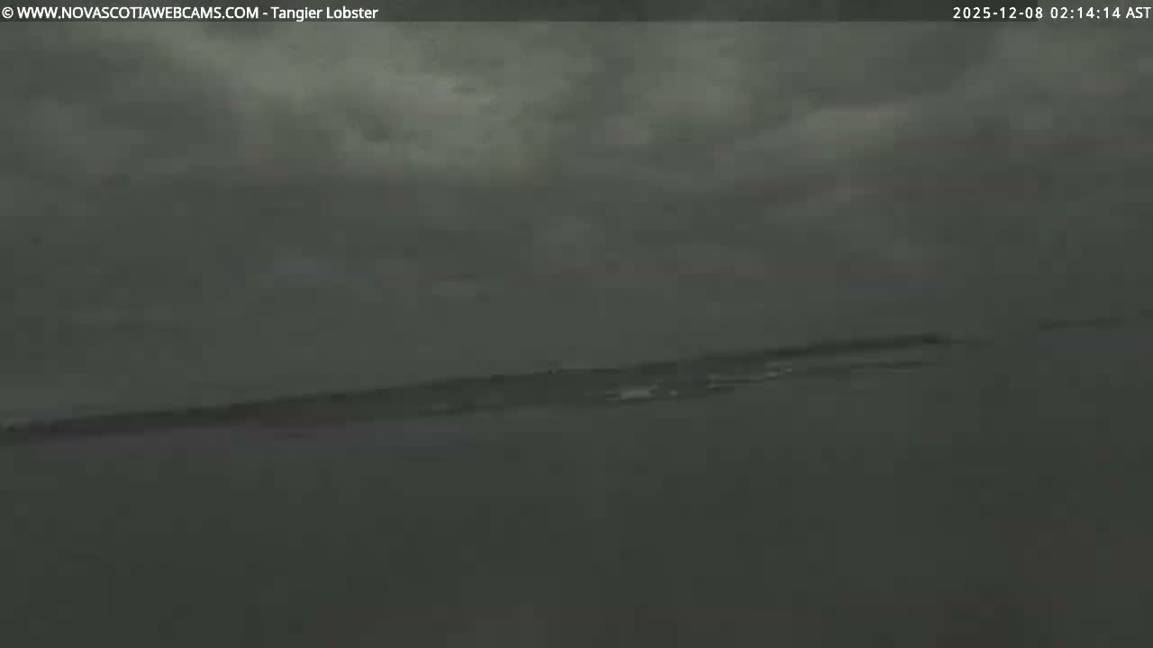 A dark, heavily overcast sky hangs over a choppy body of water with very low visibility during late night or early morning.