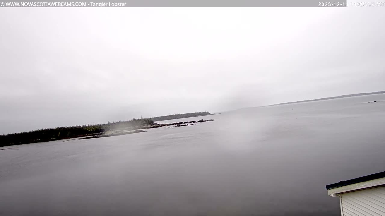 A dark, heavily overcast sky hangs over a choppy body of water with very low visibility during late night or early morning.