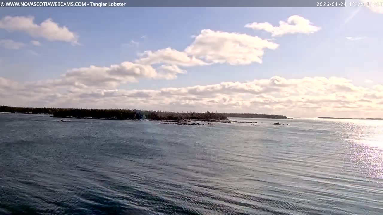Tangier Coast, Hog Island  & Mason Cove Live Cam - Tangier, Halifax Regional Municipality, Nova Scotia, Canada