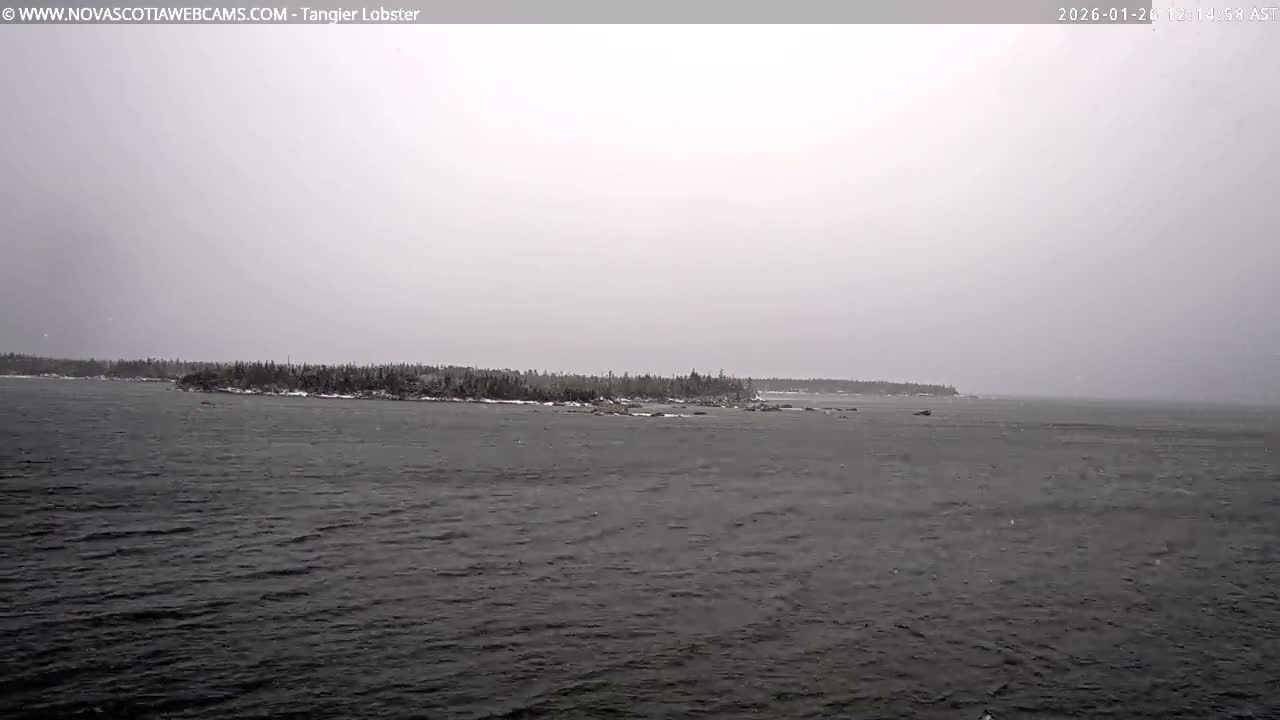 Tangier Coast, Hog Island  & Mason Cove Live Cam - Tangier, Halifax Regional Municipality, Nova Scotia, Canada