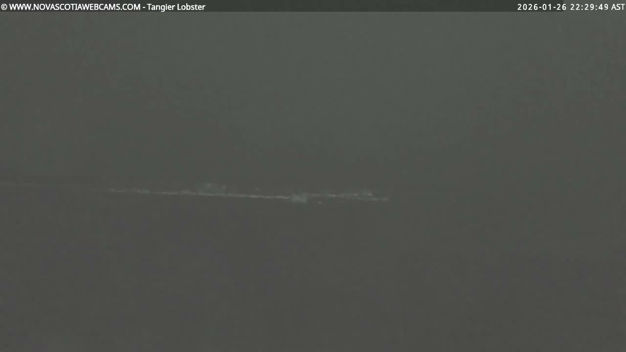 Tangier Coast, Hog Island  & Mason Cove Live Cam - Tangier, Halifax Regional Municipality, Nova Scotia, Canada
