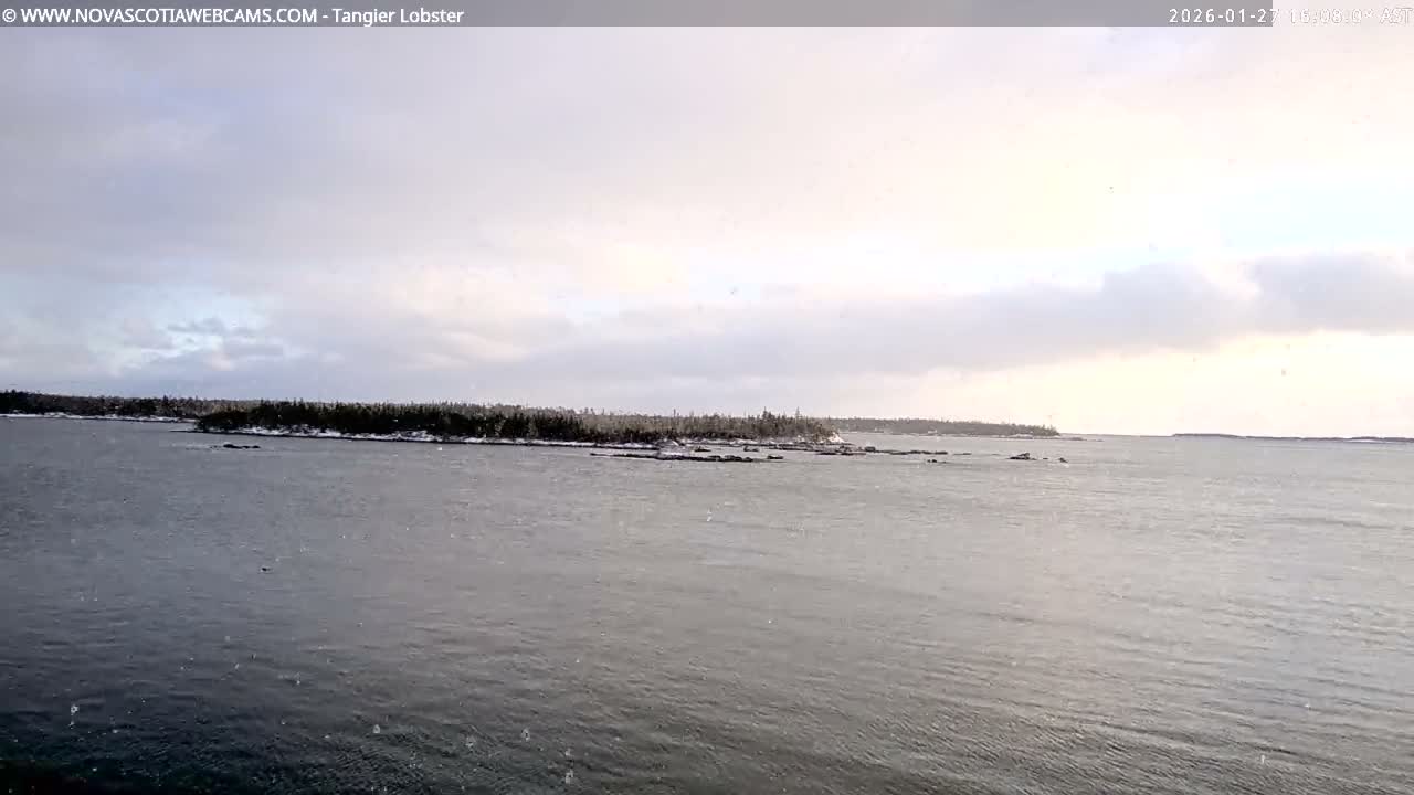 Tangier Coast, Hog Island  & Mason Cove Live Cam - Tangier, Halifax Regional Municipality, Nova Scotia, Canada