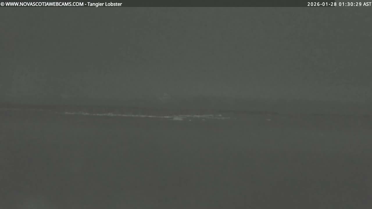 Tangier Coast, Hog Island  & Mason Cove Live Cam - Tangier, Halifax Regional Municipality, Nova Scotia, Canada
