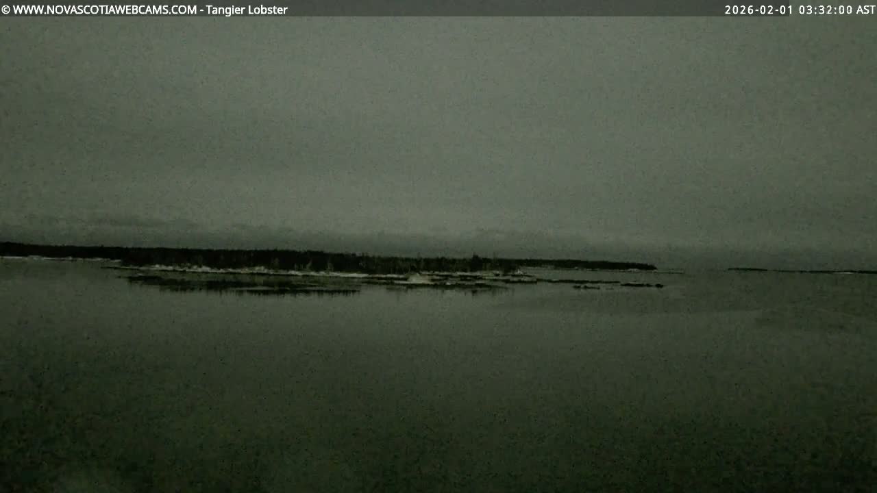 Tangier Coast, Hog Island  & Mason Cove Live Cam - Tangier, Halifax Regional Municipality, Nova Scotia, Canada