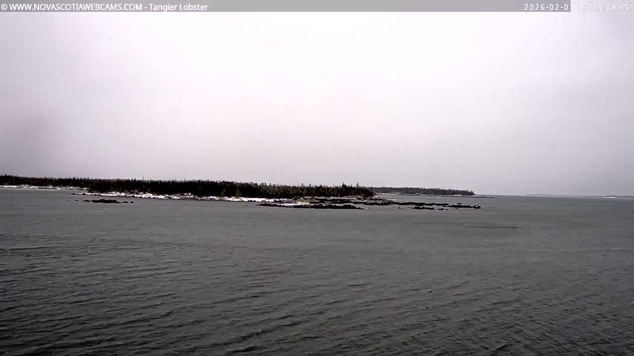 Tangier Coast, Hog Island  & Mason Cove Live Cam - Tangier, Halifax Regional Municipality, Nova Scotia, Canada