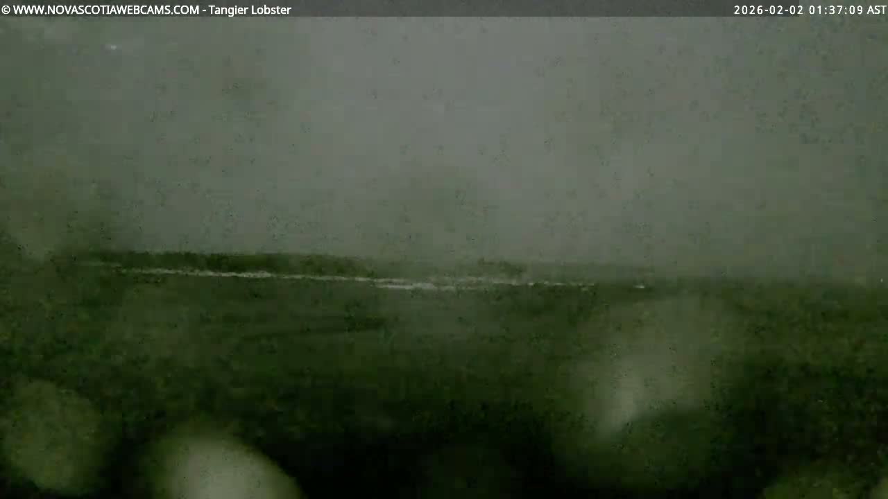 Tangier Coast, Hog Island  & Mason Cove Live Cam - Tangier, Halifax Regional Municipality, Nova Scotia, Canada