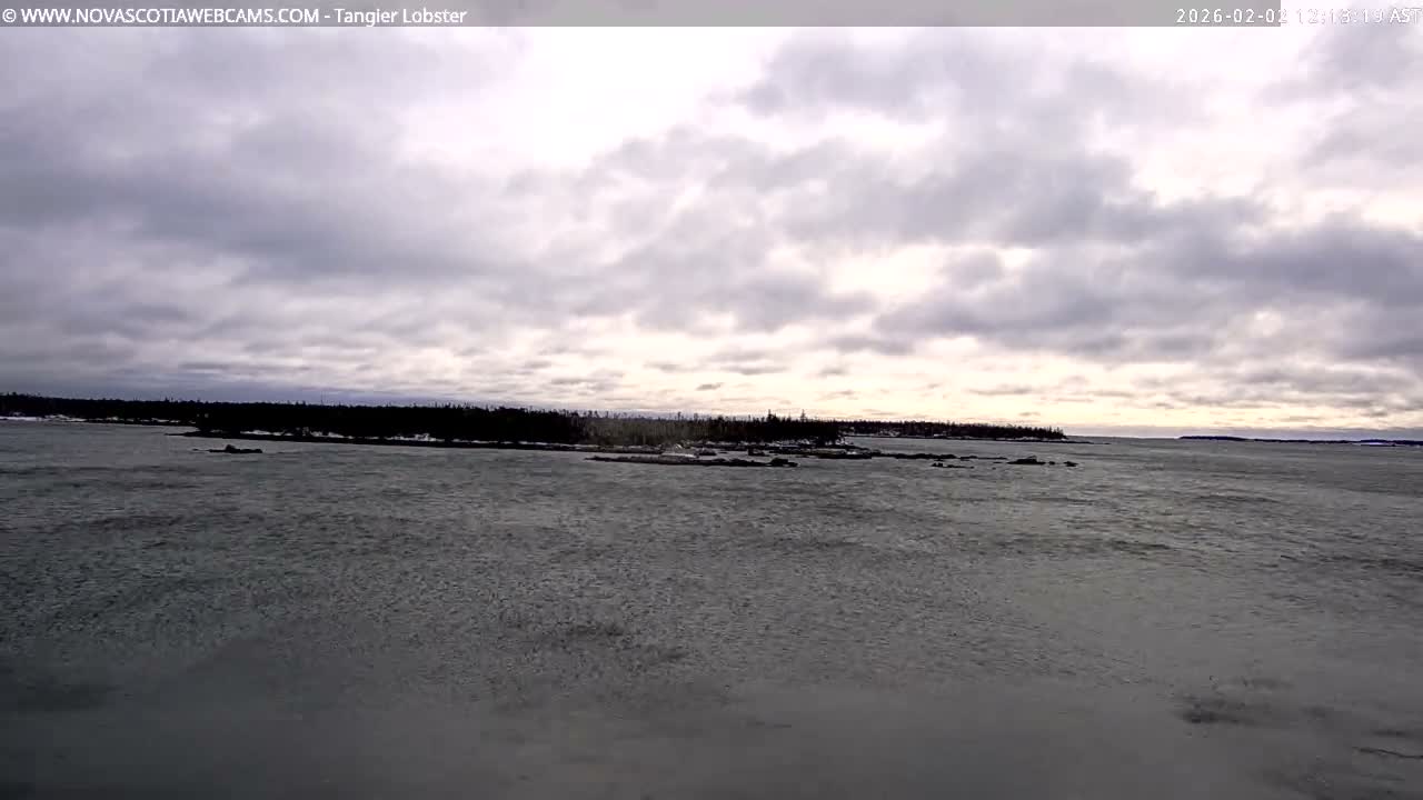 Tangier Coast, Hog Island  & Mason Cove Live Cam - Tangier, Halifax Regional Municipality, Nova Scotia, Canada