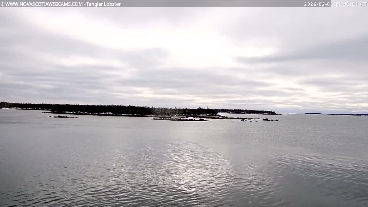 Tangier Coast, Hog Island  & Mason Cove Live Cam - Tangier, Halifax Regional Municipality, Nova Scotia, Canada