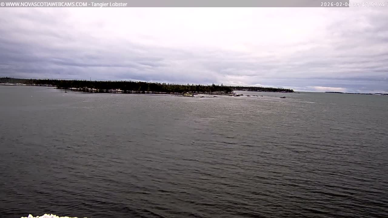 Tangier Coast, Hog Island  & Mason Cove Live Cam - Tangier, Halifax Regional Municipality, Nova Scotia, Canada