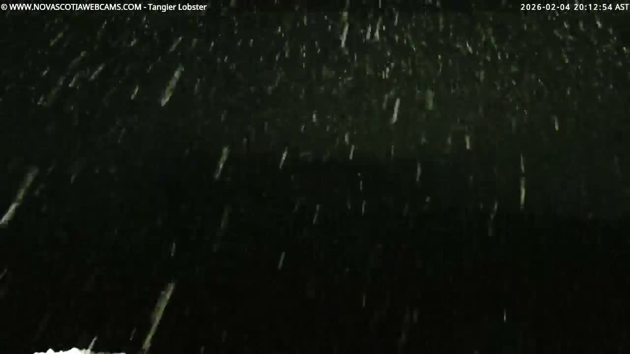Tangier Coast, Hog Island  & Mason Cove Live Cam - Tangier, Halifax Regional Municipality, Nova Scotia, Canada
