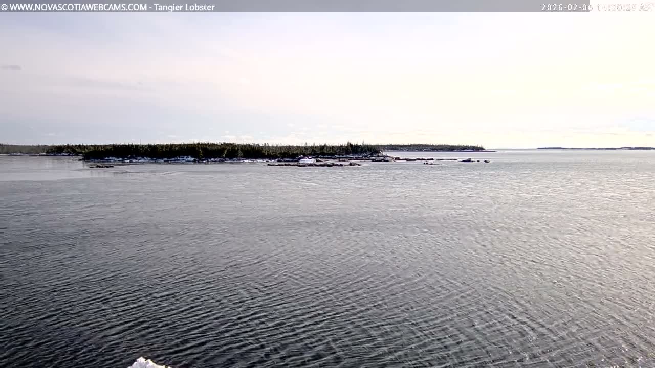 Tangier Coast, Hog Island  & Mason Cove Live Cam - Tangier, Halifax Regional Municipality, Nova Scotia, Canada