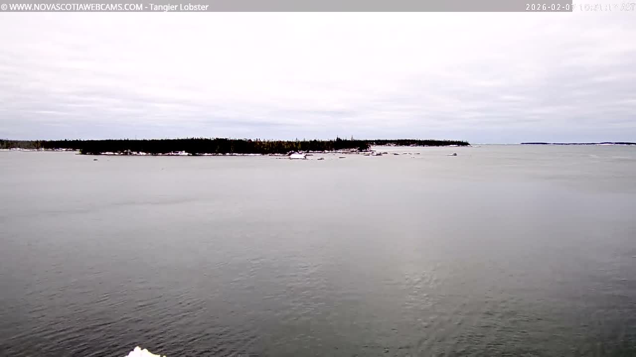 Tangier Coast, Hog Island  & Mason Cove Live Cam - Tangier, Halifax Regional Municipality, Nova Scotia, Canada